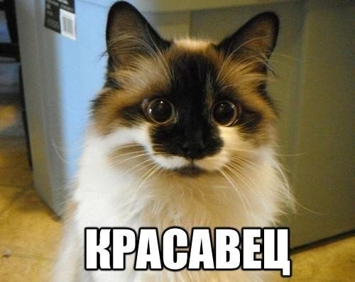 Картинки на пятницу