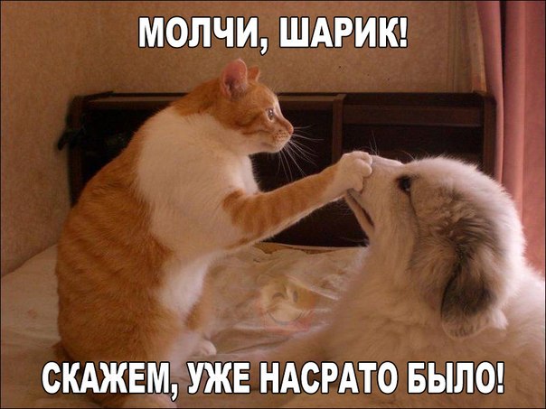 Подборка Картинок из сети