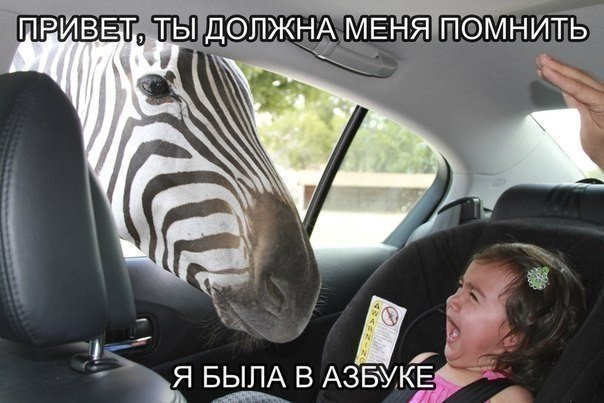 Подборка фотоприколов