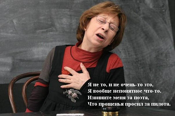 Турецкий поэт Хюсейн Хайдар извинился перед россиянами за сбитый Су-24