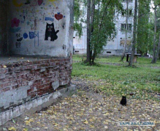 КотоВторник 26.04.2016
