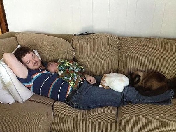 Подборка прикольных фото