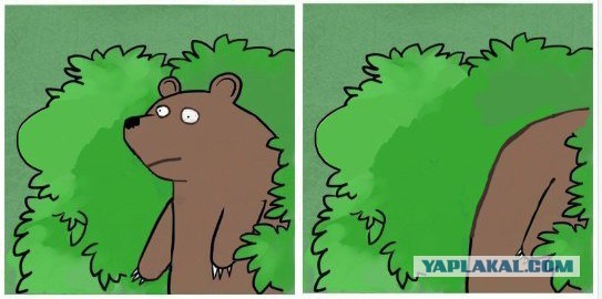 Где бриться женщинам?