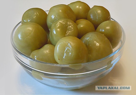 Юкка: уход и размножение