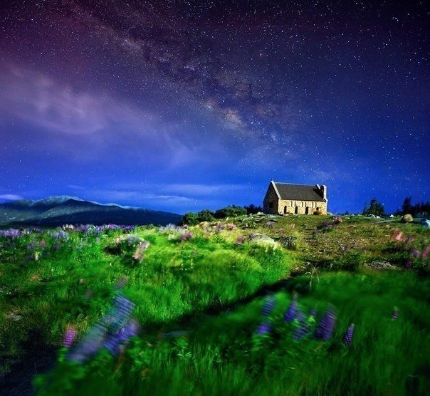 Моменты, запечатлённые на фото и просто позитив 5
