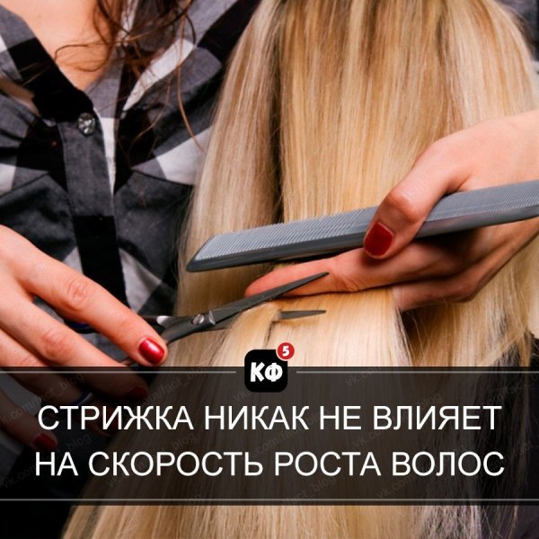 Краткие факты