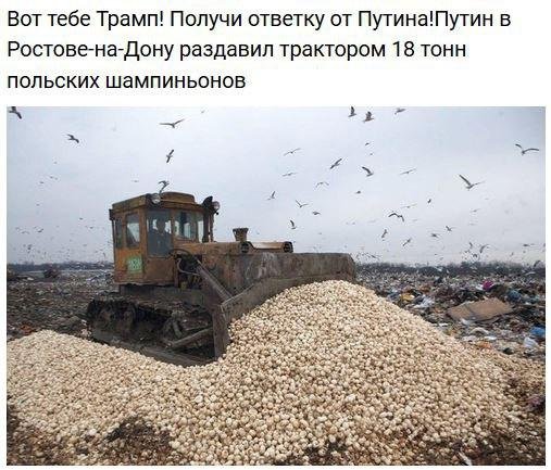 США пригрозили, что будут сбивать российские самолеты