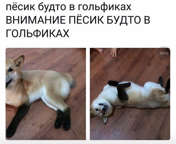Временный пост. Всякое-разное