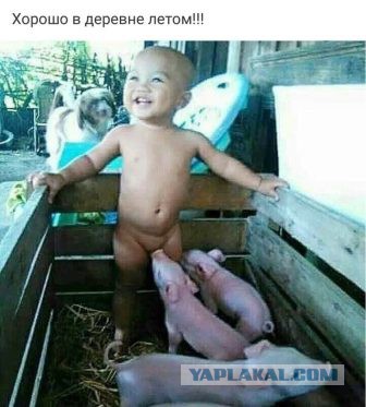 Не смешите меня