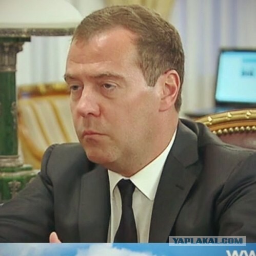 УСТЬ-ЛУГА забирает весь транзит Прибалтики