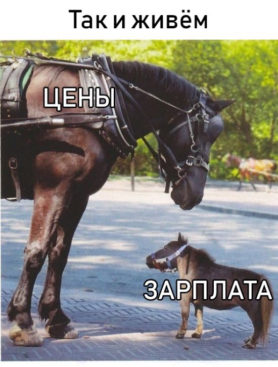 Нестандартный юмор