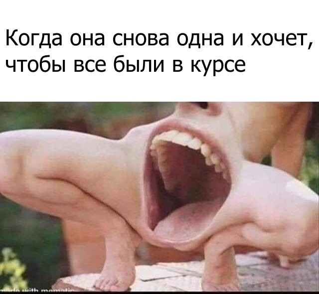 Поворот не туда