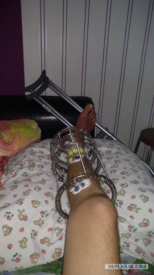 Всем бобра!