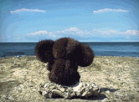 Еще 15 причин никогда не жениться