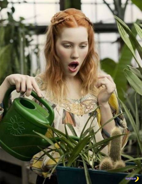 Нашлось еще немного слегка пошлых картинок с надписями 16+ (22.07.2020)