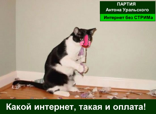 кот Матроскин и счёт за интернет