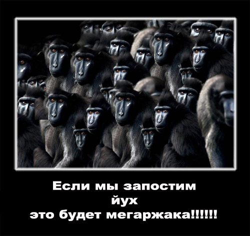 Ассоциации