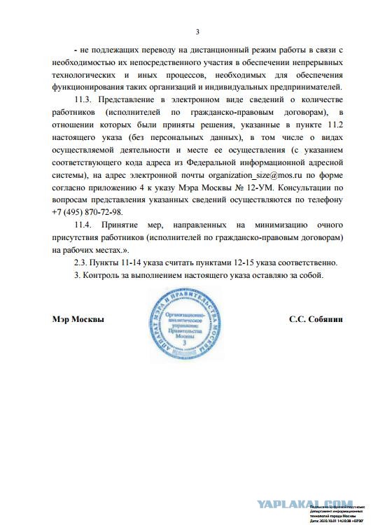 Собянин обязал работодателей в Москве перевести на удаленку 30% сотрудников в период с 5 по 28 октября