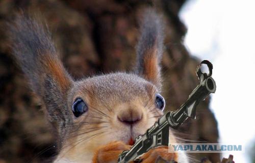 Фотожаба: Кто хочет сходить в кино?