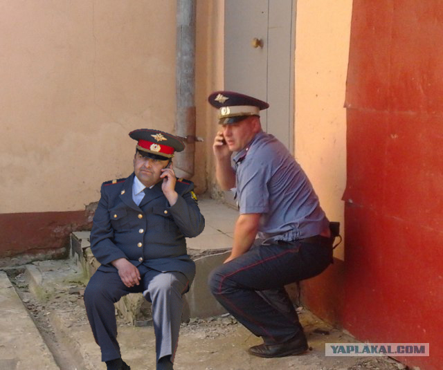 Фотожаба: Неупоротый.