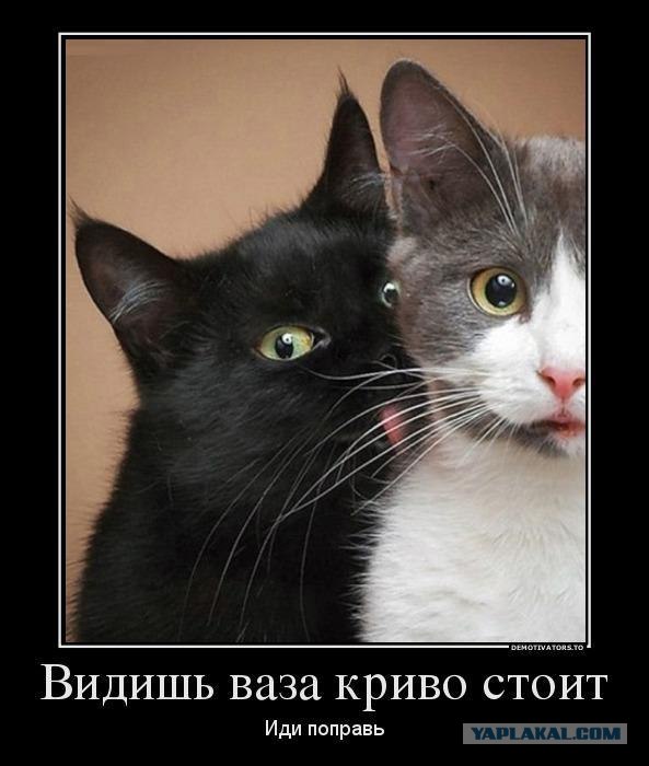 Вот ведь падла!