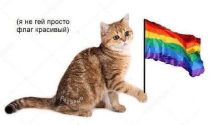 Это просто абсурд какой-то!