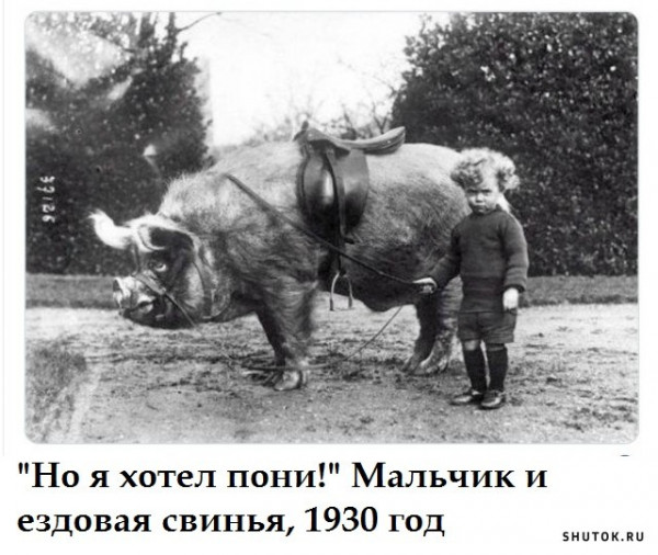 Фото-винегрет-4. Картинки ниапчём и обо всём