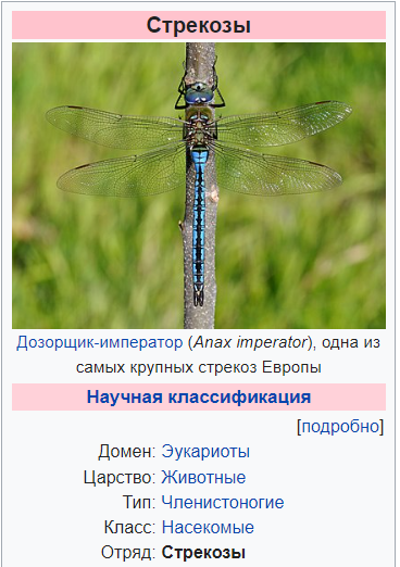Картинки 20.05.22.