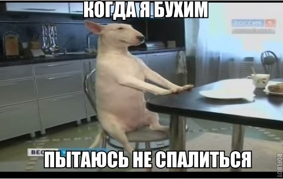 Пятничный алкогольный юмор 24.06.22