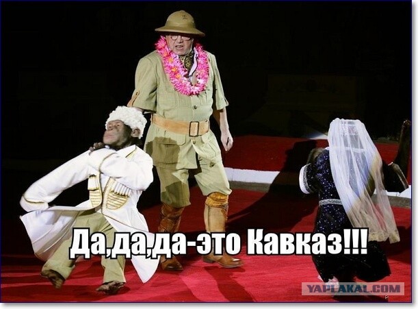 На небосклоне тверской блогосферы загорелась новая звезда⁠⁠