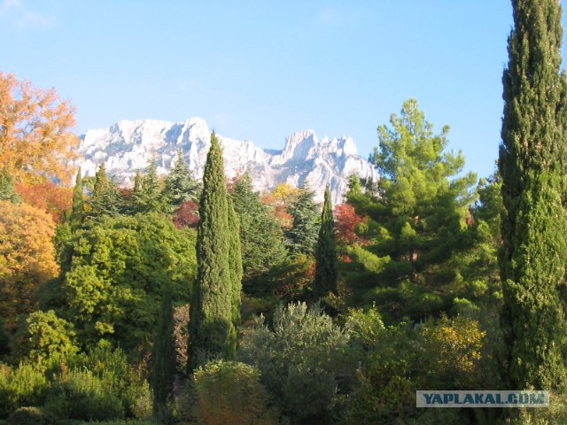 Южный берег Крыма