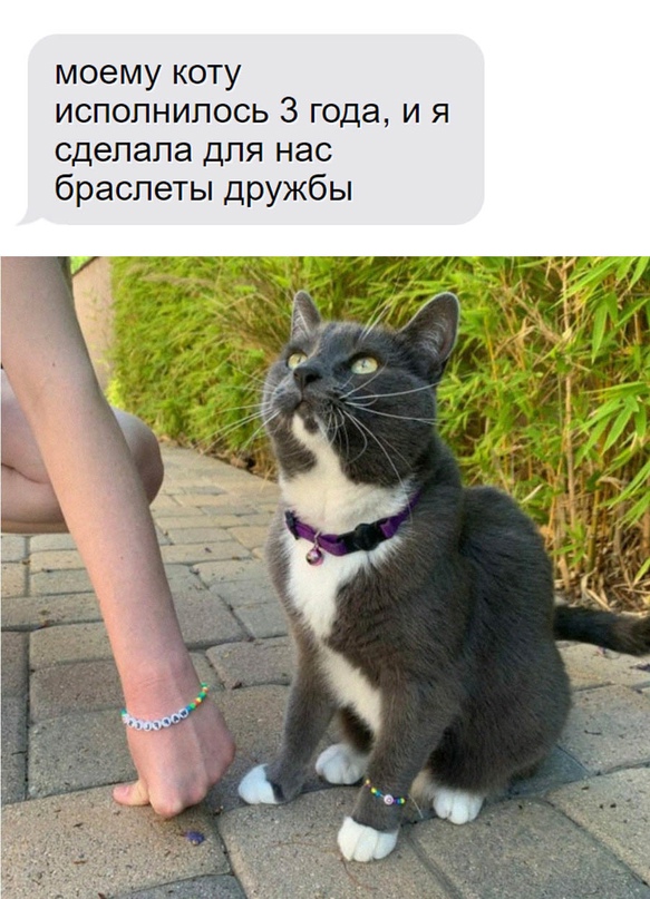 Немного картинок для настроения - 135