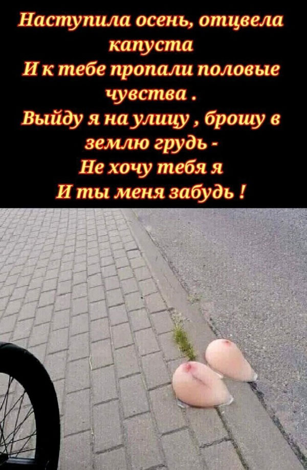 WTF: что тут происходит? 11.02.23