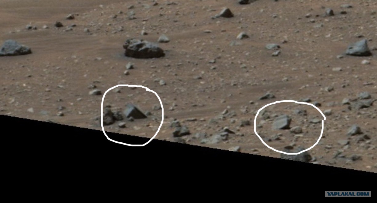 На марсе возможна жизнь. Снимки Марса. Марс фото. Фото поверхности Марса. На Марсе есть жизнь.