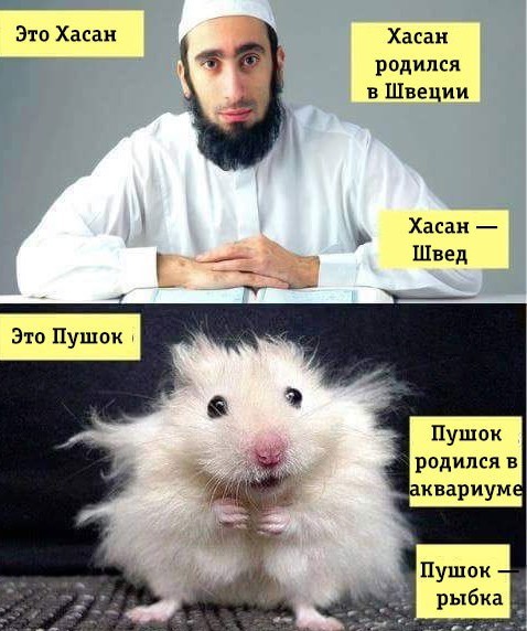 Это уже джихад? Или подождать?