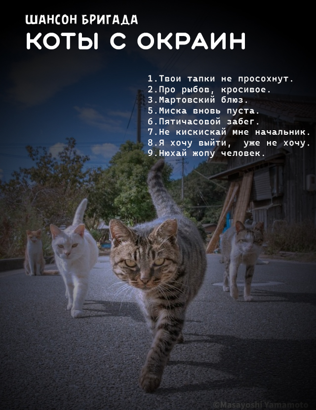 Просто картинки из сети