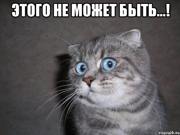 Актриса Шукшина призвала бойкотировать артистов из-за вечеринки Ивлеевой
