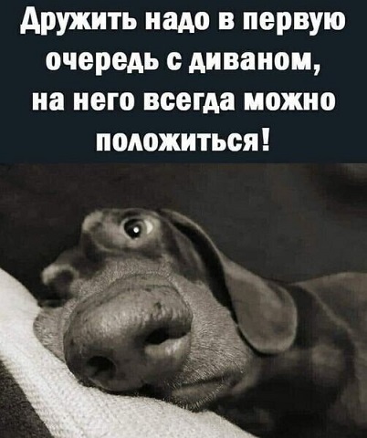Весёлый полтишок 11.01.23