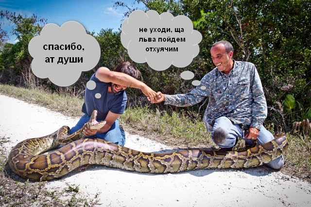 Картинки разные нужны, картинки разные важны