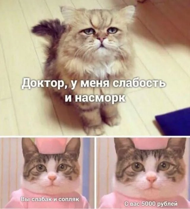 Завалялось тут случайно немного забавных картинок
