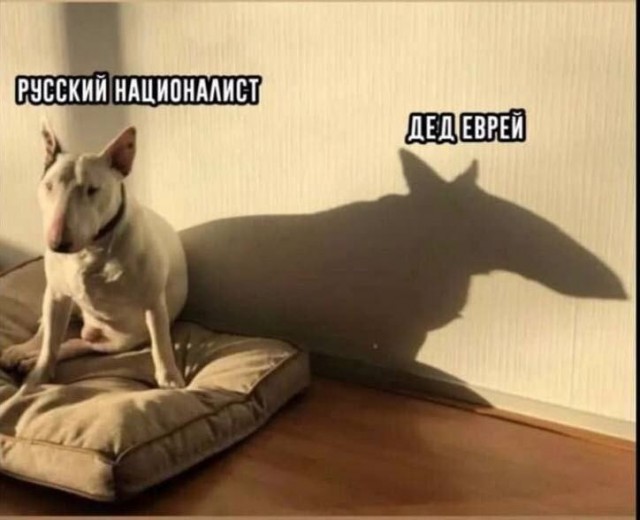 Трамп считает когда-то престижный Гарвард клоакой, населённой иностранцами, ненавидящими Америку. И лишил его финансирования