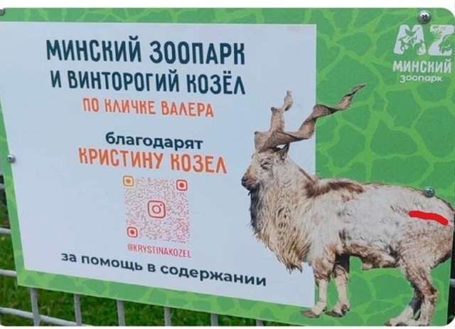 Хорошо, когда отдохнул на природе