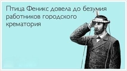 Разбавим унылое воскресенье отборной дичью