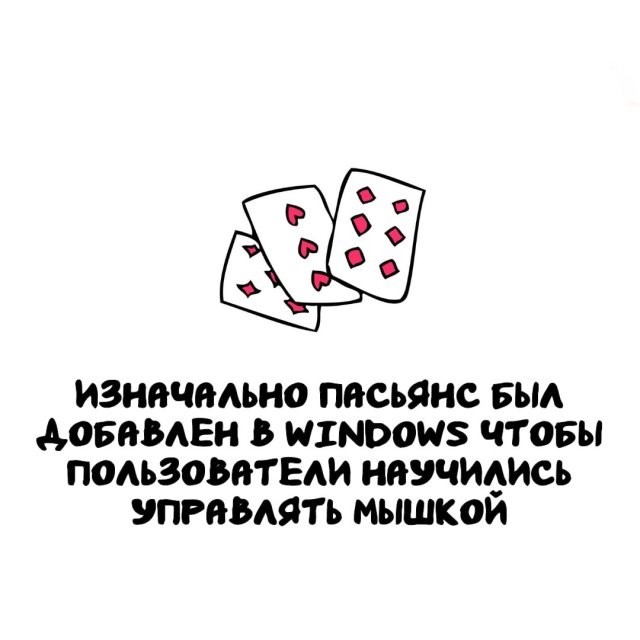 20568433.jpg
