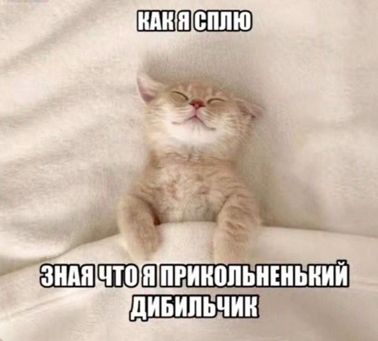 20589433.jpg