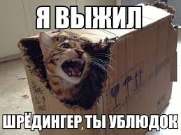 Что хорошего произошло в жизни ЯПовчан в 2025 году?