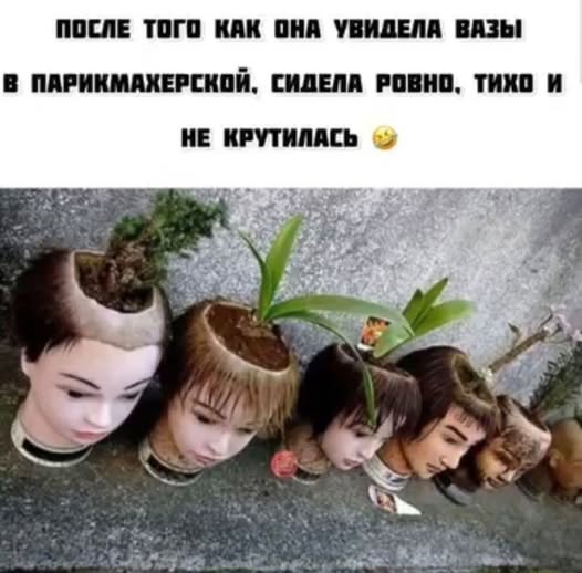 Веселые картинки в понедельник (22.12)