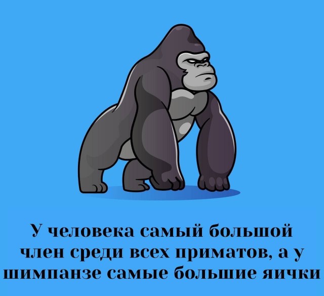 Забавные и не очень скромные картинки - 25