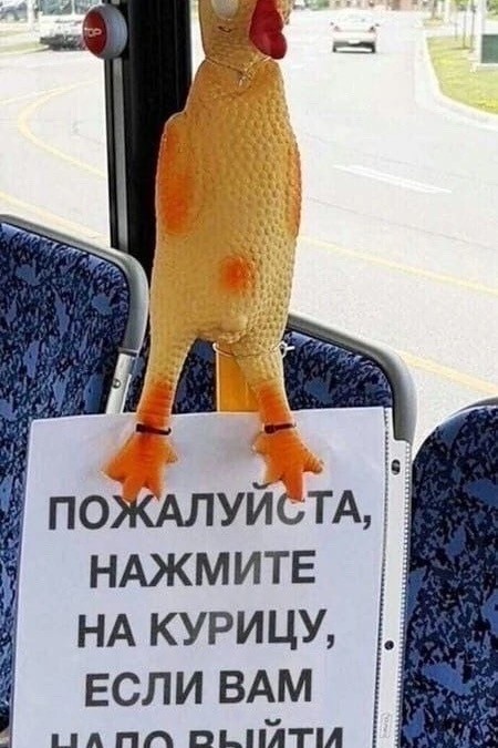 Воскресные картинки