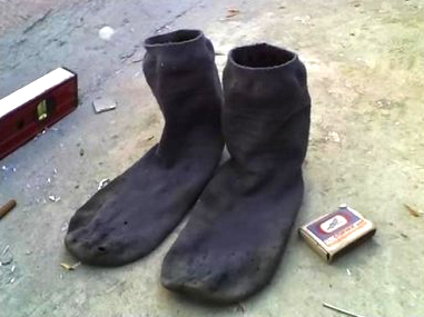 Дождались родимые